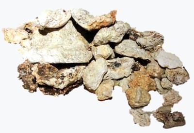 устранение засоров на кухне